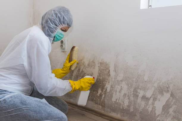 Best Water Damage Restoration  in Newington, VA