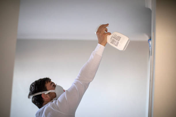 Best Affordable Mold Removal  in Newington, VA